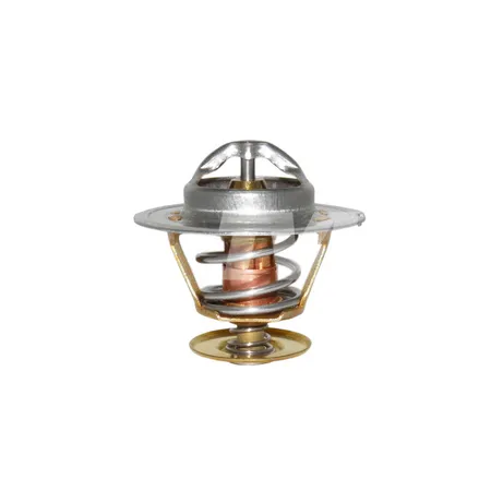 THERMOSTAT - 50459829