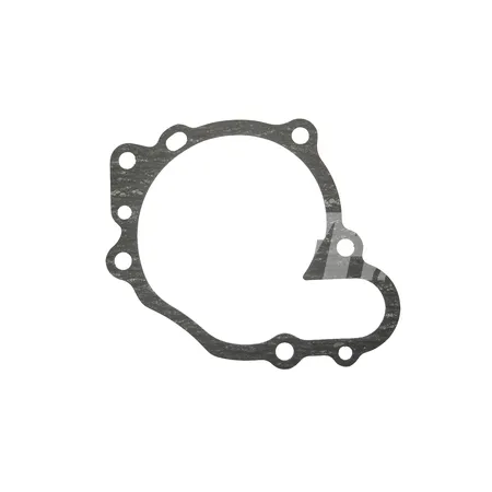 DICHTUNG - 129900-42020
