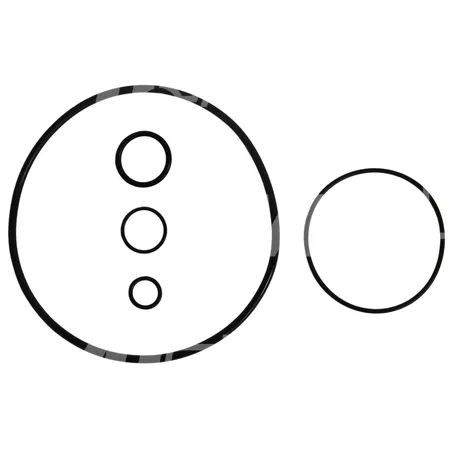 DICHTUNGSATZ HYDR. - 923110.0598