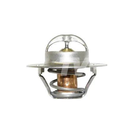 THERMOSTAT - 8806094