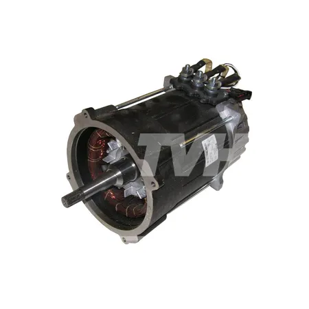 ELEKTROMOTOR - 580051496