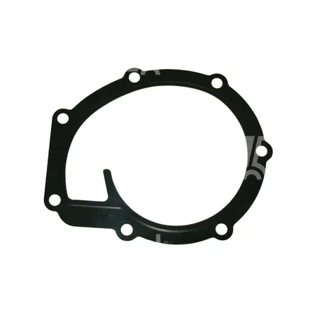 DICHTUNG - 704546