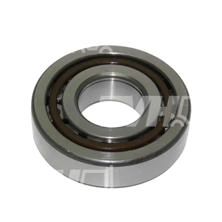 ROLLENLAGER - 90365-30009