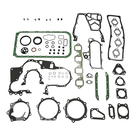 DICHTSATZ MOTOR - 1010140K25