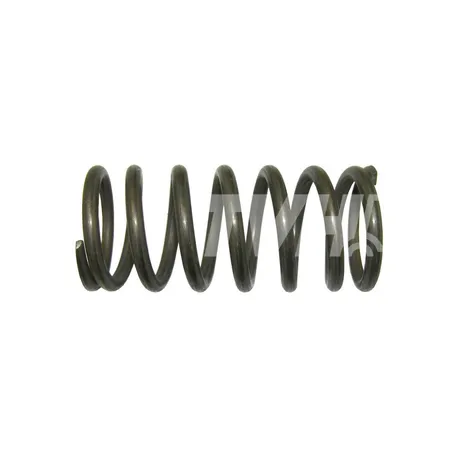DRUCKFEDER - 123TA8449