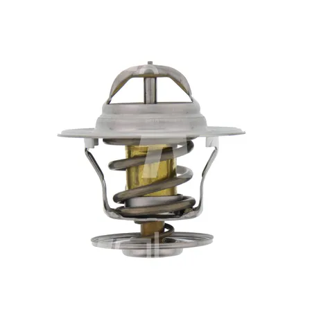 THERMOSTAT - 8704349