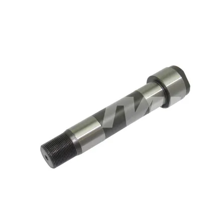 ACHSE - 50039111