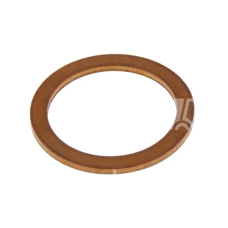 DICHTRING - 041824