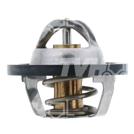 THERMOSTAT - 4313503