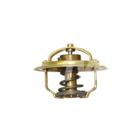 THERMOSTAT - 21200H7800