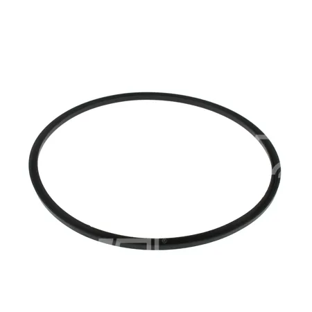 DICHTUNG - G073245