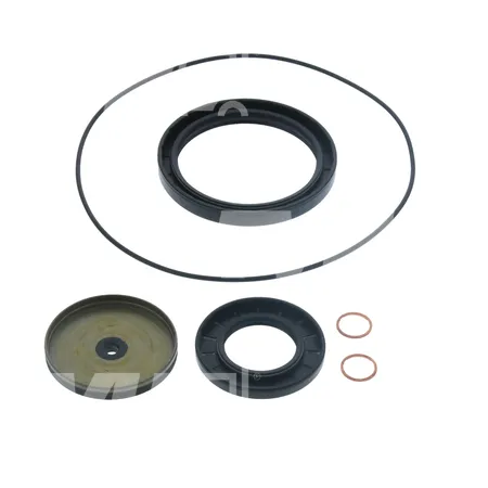 DICHTUNGSATZ HYDR. - 580052385