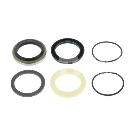 DICHTUNGSATZ ZYLINDER - 524176959