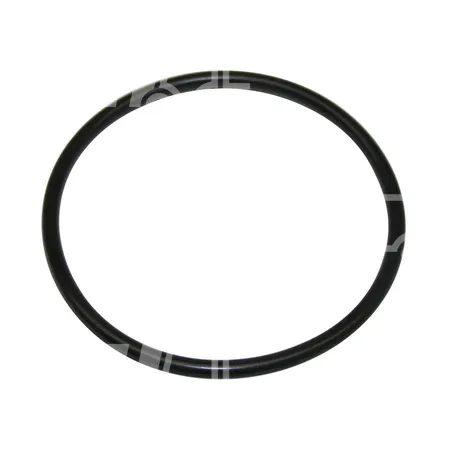 O-RING - 0009632551