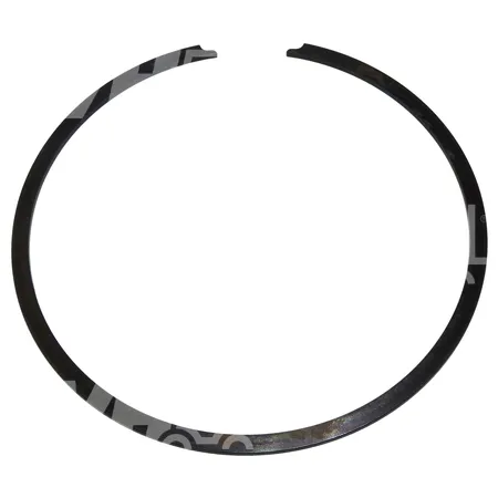 SPRENGRING - 3156841K00