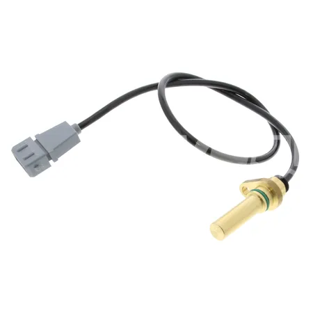 SENSOR - 10545218