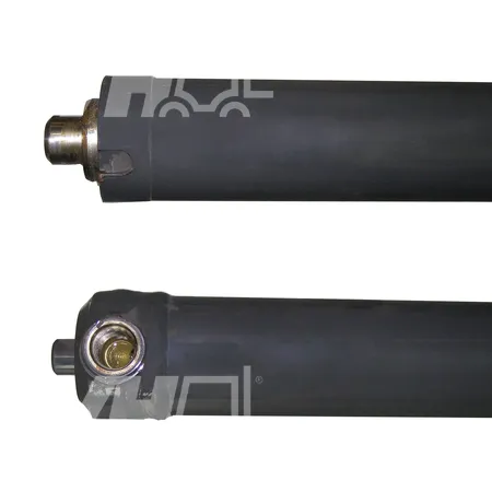 HYDRAULIKZYLINDER - 58010GJ47A