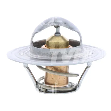 THERMOSTAT - 8155379