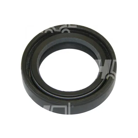 OELSIMMERRING - 123TA9545