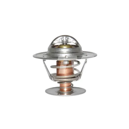 THERMOSTAT - VW068121113A