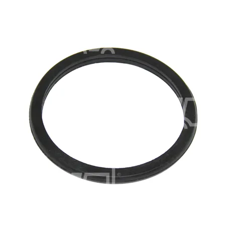 DICHTUNG - 65.06904-0003