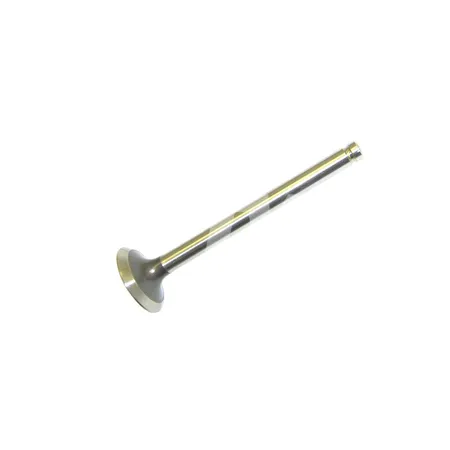 VENTIL MOTOR - 8809543