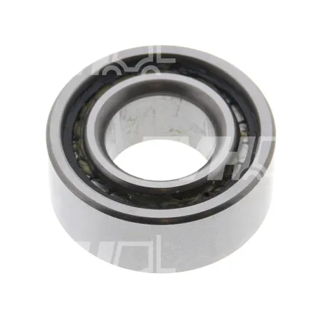 ROLLENLAGER - MUB5205