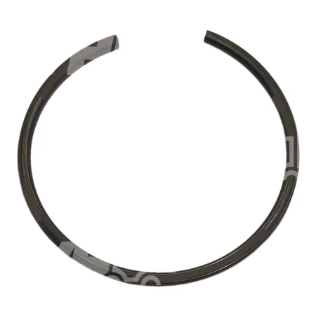 SPRENGRING - 0009071116