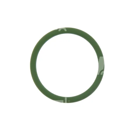 O-RING - 0009630301