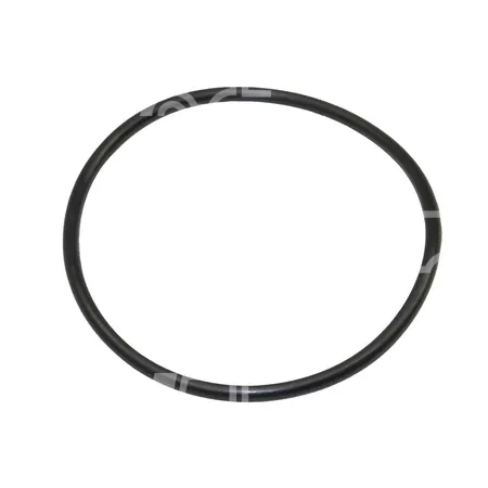 O-RING - 0009632607