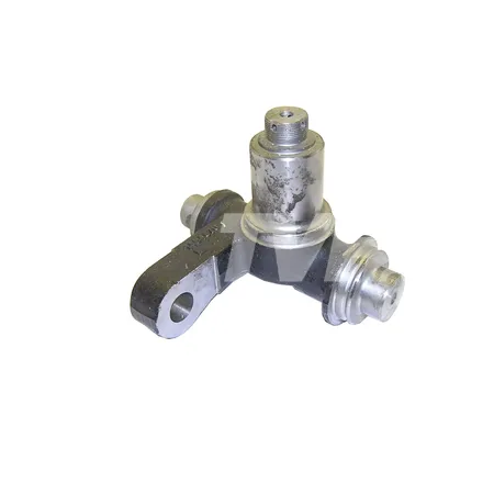 ACHSSCHENKEL - 1464149