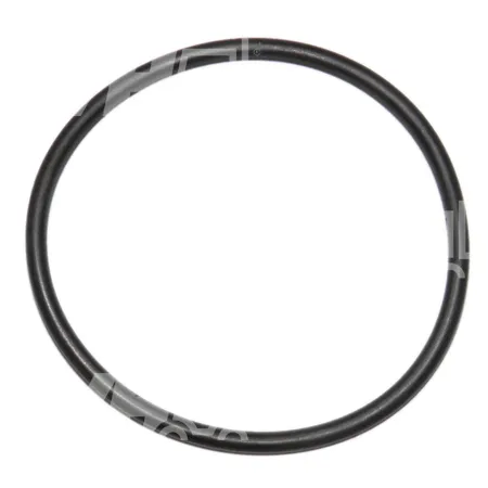 O-RING - 34373