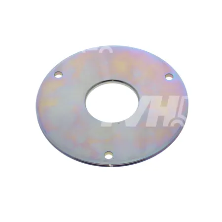 FRICTIONSSCHEIBE ELEKTRISCHE BREMSE - 7554820