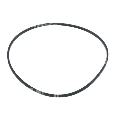 DICHTUNG - 909574