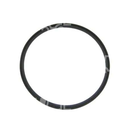 DICHTUNG - D180252