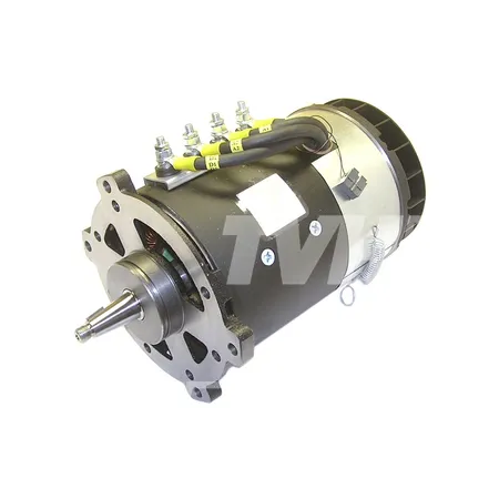 ELEKTROMOTOR - 8004394