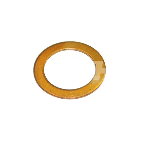 DICHTRING - F420218000